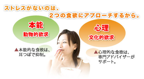 ストレスがないのは2つの食欲にアプローチするから 本能的(動物的欲求) 心理的(文化的欲求)